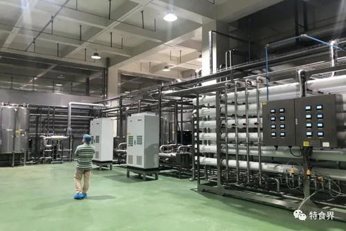 廣東實(shí)現(xiàn)保健食品生產(chǎn)企業(yè)體系檢查全覆蓋，數(shù)據(jù)處理服務(wù)助力精準(zhǔn)監(jiān)管